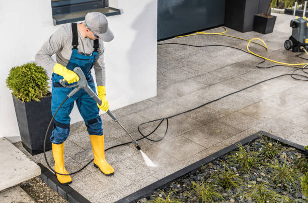 Best Roof Pressure Washing  in Alamo Heights, TX